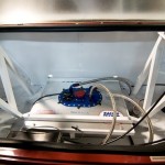 _WOW5479